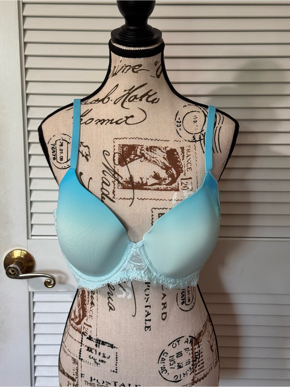 No Boundaries Light Blue Ombre Lace T-Shirt Bra